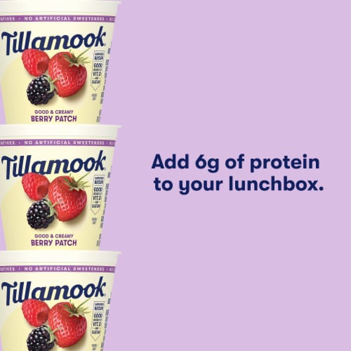 Tillamook Berry Low Fat Yogurt Cup Perspective: top