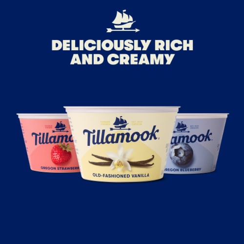 Tillamook Low Fat Oregon Blueberry Greek Yogurt Perspective: top