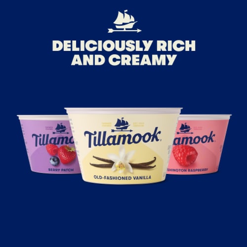 Tillamook Raspberry Greek Yogurt Cup Perspective: top