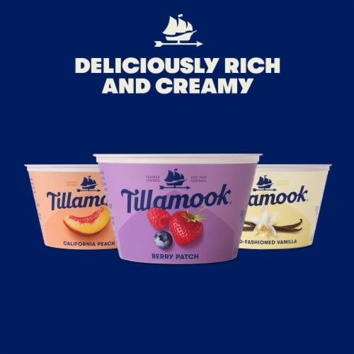 Tillamook Low Fat Old-Fashioned Vanilla Greek Yogurt Perspective: top