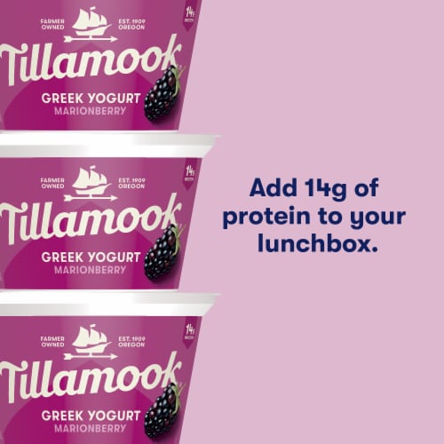 Tillamook Marionberry Greek Yogurt Cup Perspective: top