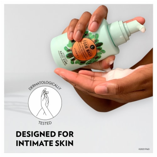 L . Foam Feminine Wash Daily Care Perspective: top