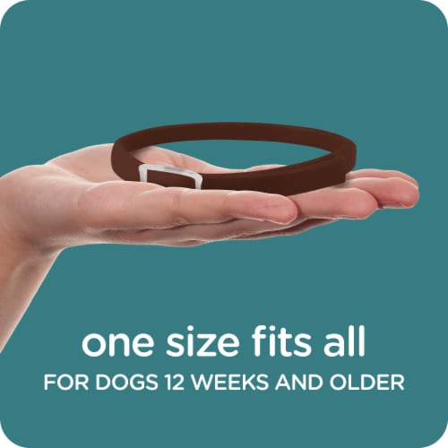 Sergeant's Guardian Flea & Tick Collar for Dogs Perspective: top