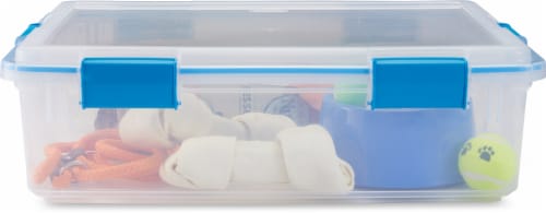 Buy Sterilite 19314304 Gasket Box, 37 qt, Latches Locking, Plastic