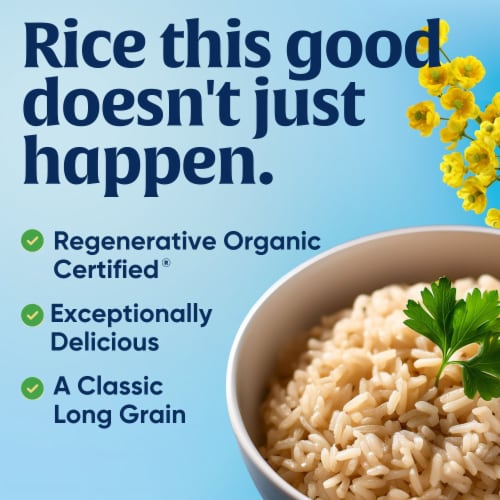 Lundberg Family Farms® Organic California Brown Jasmine Gourmet Rice Perspective: top