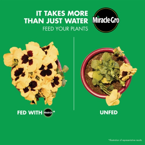 Miracle-Gro® All Purpose Plant Food Perspective: top