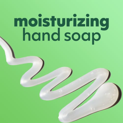 Softsoap Liquid Hand Soap Pump Soothing Aloe Vera Perspective: top