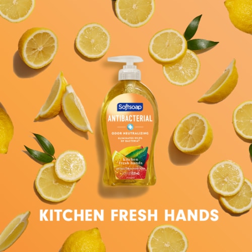 Softsoap Antibacterial Kitchen Fresh Hands Liquid Hand Soap Pump Perspective: top
