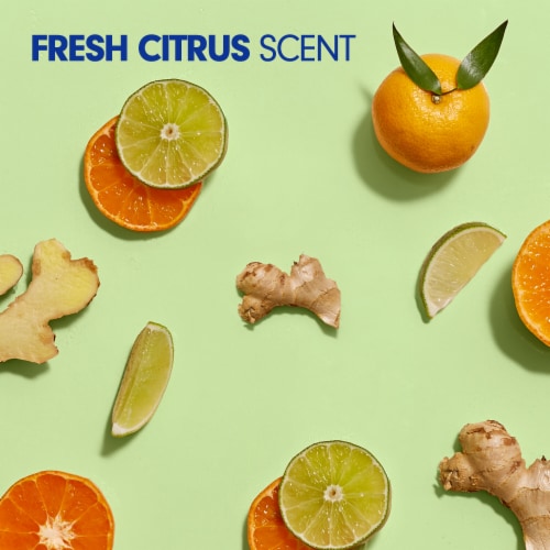 Softsoap Liquid Hand Soap Refill Antibacterial Fresh Citrus Scent Perspective: top