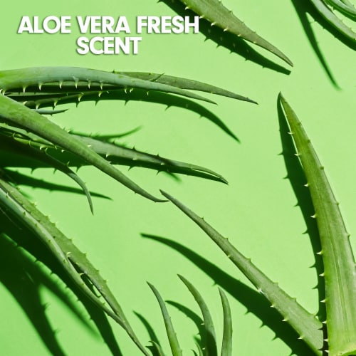 Softsoap Liquid Hand Soap Refill Soothing Clean Aloe Vera Fresh Scent Perspective: top