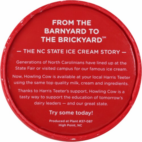 Howling Cow® Chocolate Mint Chip Ice Cream Perspective: top