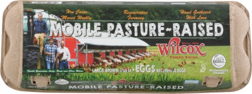 Wilcox Mobile Pasture Raised Large Brown Eggs Perspective: top