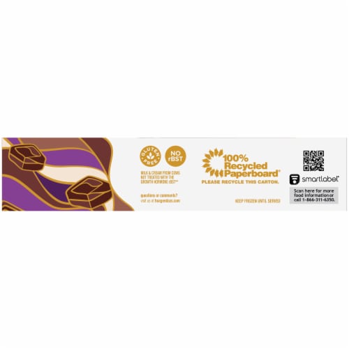Haagen-Dazs Chocolate Dark Chocolate Ice Cream Bar Perspective: top