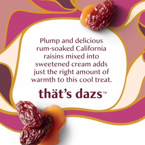 Haagen Dazs® Rum Raisin  Ice Cream Pint Perspective: top