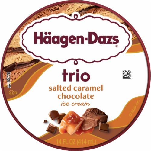 Haagen-Dazs® Salted Caramel & Chocolate Trio Crispy Layers Ice Cream Perspective: top