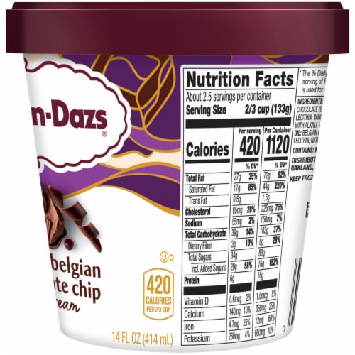 Haagen-Dazs Double Belgian Chocolate Chip Ice Cream Perspective: top