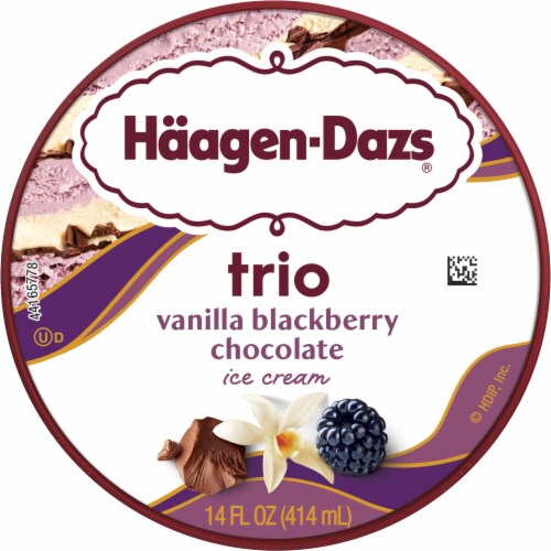 Haagen Dazs® Trio Vanilla Blackberry Chocolate Ice Cream Perspective: top