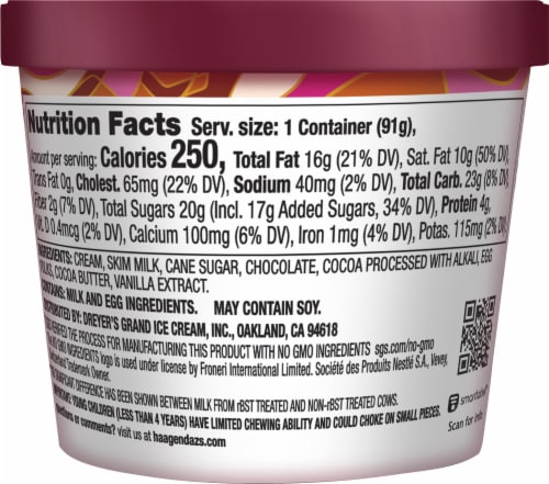 Haagen-Dazs Chocolate Chocolate Chip Ice Cream Perspective: top