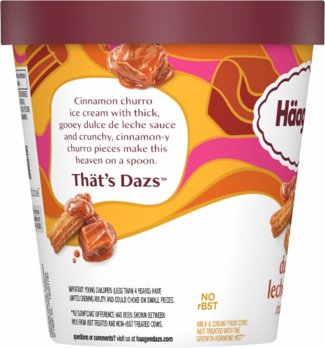 Haagen Dazs® Dulce de Leche Churro Ice Cream Perspective: top