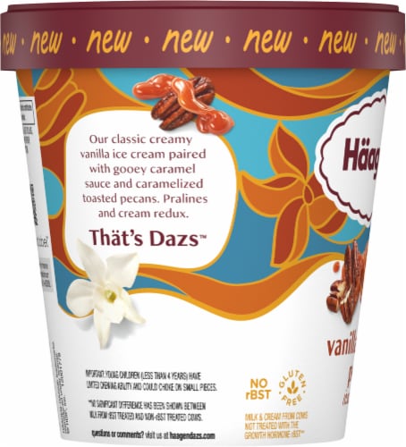 Ice Cream, Vanilla Caramel Pecan Perspective: top