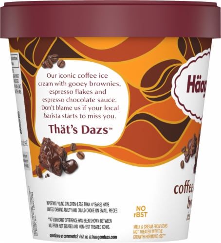 Haagen Dazs® Coffee Chocolate Brownie Ice Cream Pint Perspective: top