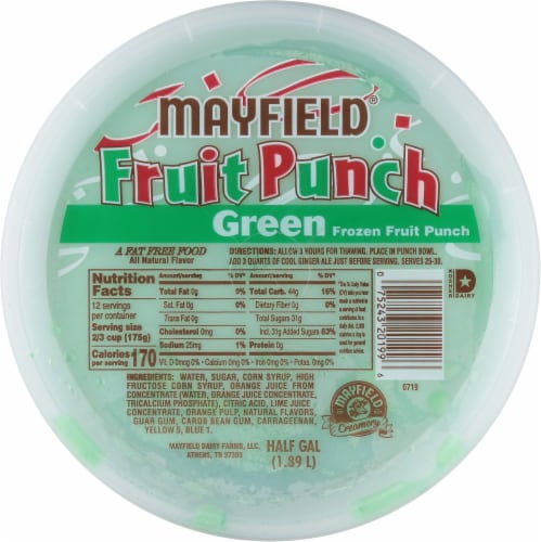 Mayfield Green Frozen Fruit Punch Sherbet Perspective: top