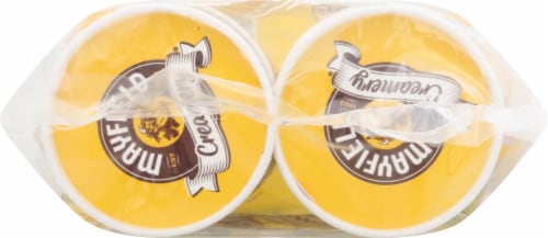 Mayfield Creamery Homemade Vanilla Flavored Premium Ice Cream Party Cups Perspective: top