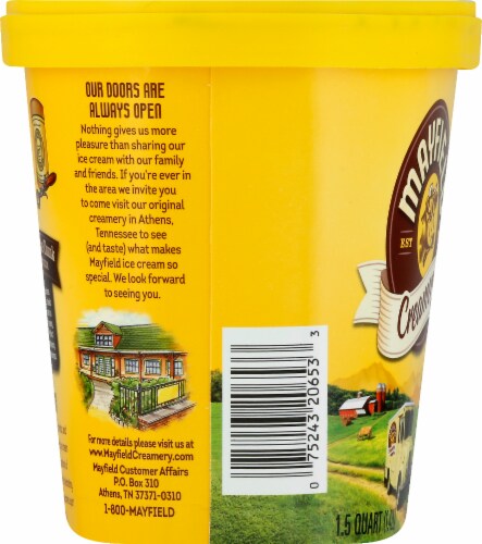 Mayfield Espresso Chocolate Chunk Premium Ice Cream Perspective: top
