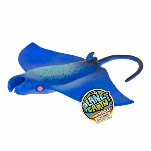 James Paul Products Explore Planet Earth Replica Toy - Assorted Perspective: top