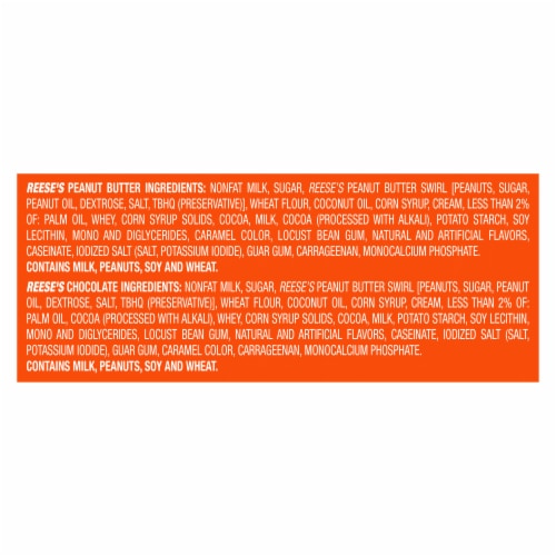 Reese's Peanut Butter and Chocolate Duo Frozen Dairy Dessert Cones Perspective: top