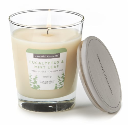 Candle Lite Eucalyptus & Mint Leaf Jar Candle Perspective: top