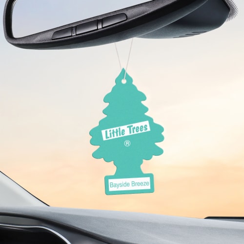 Little Trees® Bayside Breeze Car Air Fresheners, 3 pk