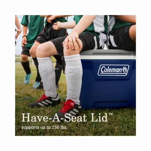 Coleman® Cooler, 52 Qt. Chest, 316 Series, Twilight Perspective: top