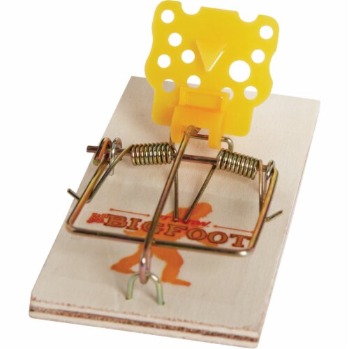 Jt Eaton Mouse Trap, PK4 406XT, 1 - Pick ‘n Save