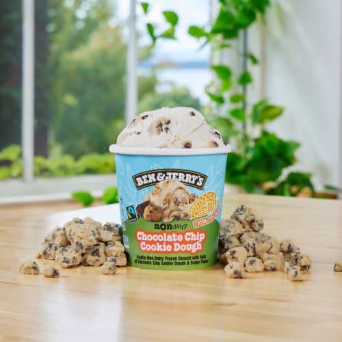 Ben & Jerry's Dairy Free Chocolate Chip Cookie Dough Almond Milk Vegan Frozen Dessert Perspective: top