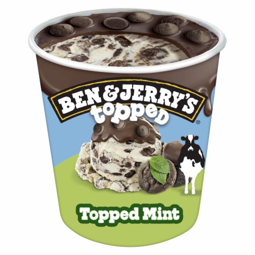 Ben & Jerry's Topped Thick Mint with Chocolate Cookies and Mint Chocolate Cookie Dough Ice Cream Perspective: top