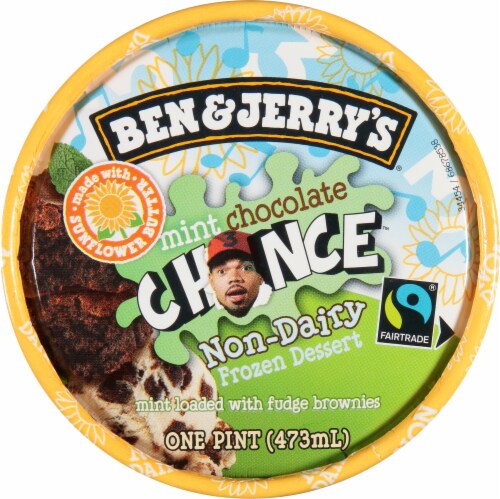 Ben & Jerry's Mint Chocolate Chance Ice Cream Perspective: top