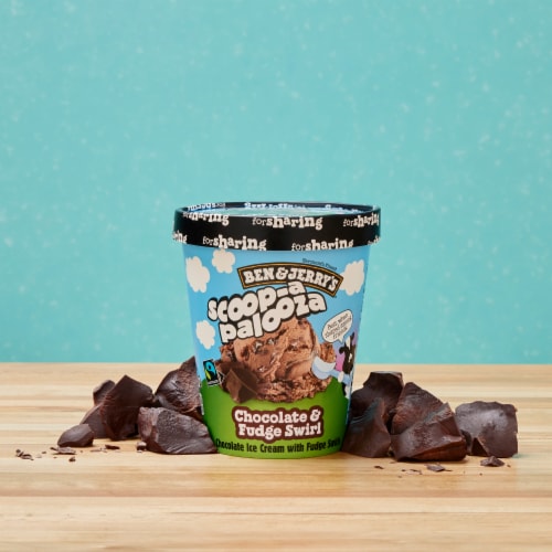 Ben & Jerry's Scoop-A-Palooza Chocolate & Fudge Swirl Ice Cream Perspective: top