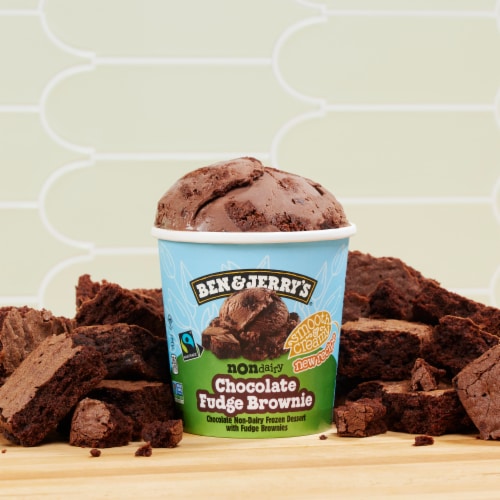Ben & Jerry's Chocolate Fudge Brownie Frozen Non-Dairy Dessert Perspective: top