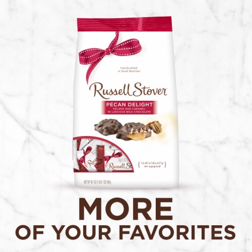 RUSSELL STOVER Milk Chocolate Pecan Delight Candy, 16.1 oz bag Perspective: top