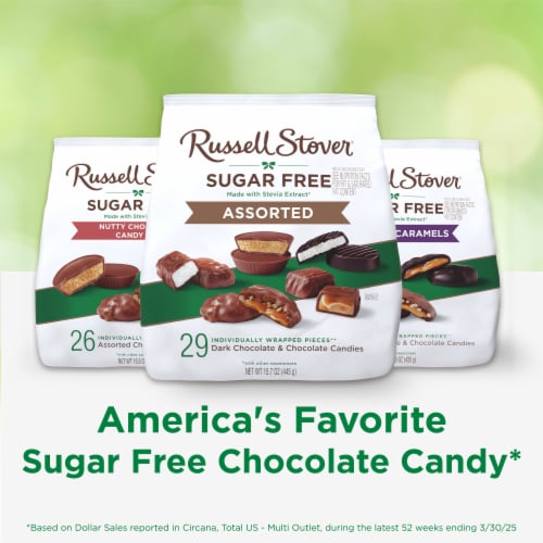 RUSSELL STOVER Sugar Free Assorted Chocolate Candy, 15.7 oz bag Perspective: top