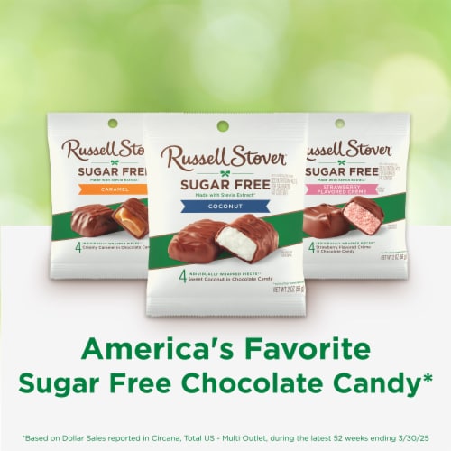 RUSSELL STOVER Sugar Free Coconut in Chocolate Candy, 2 oz bag Perspective: top