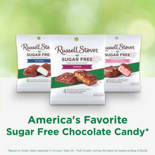RUSSELL STOVER Sugar Free Toffee Squares in Chocolate Candy, 2 oz bag Perspective: top