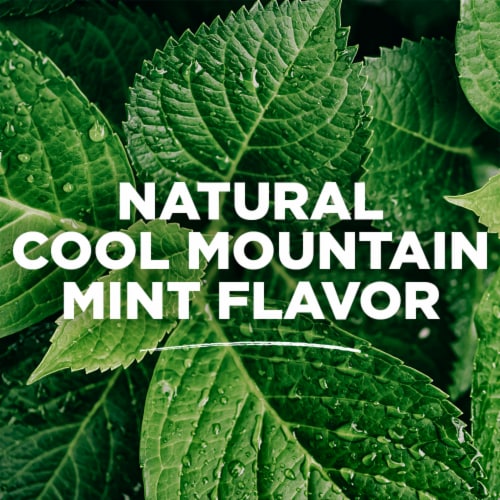 Tom's of Maine Natural Wicked Fresh! Mouthwash with Fluoride in Cool Mountain Mint Perspective: top
