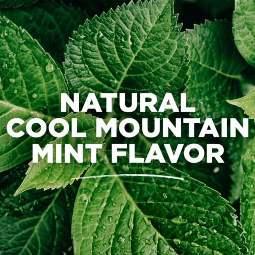 Tom's of Maine Wicked Fresh! Alcohol-Free Natural Mouthwash Cool Mountain Mint Perspective: top