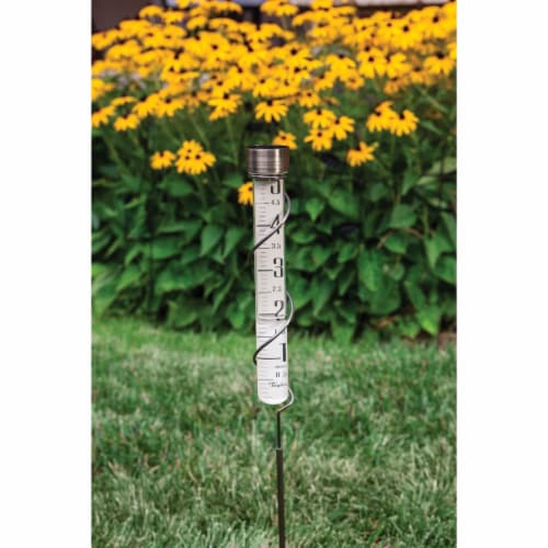 Taylor Heritage Collection 5 In. Glass Rain Gauge 484BZN Perspective: top