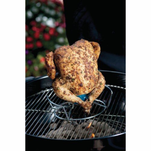 Poultry Roaster Perspective: top