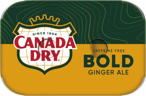 Canada Dry® Bold Ginger Ale Soda Mini Cans Perspective: top