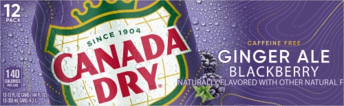 Canada Dry Blackberry Ginger Ale Soda Cans Perspective: top
