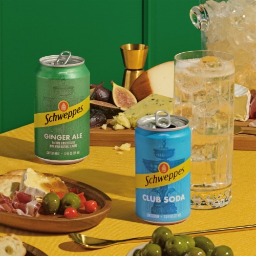 Schweppes Club Soda Cans Perspective: top
